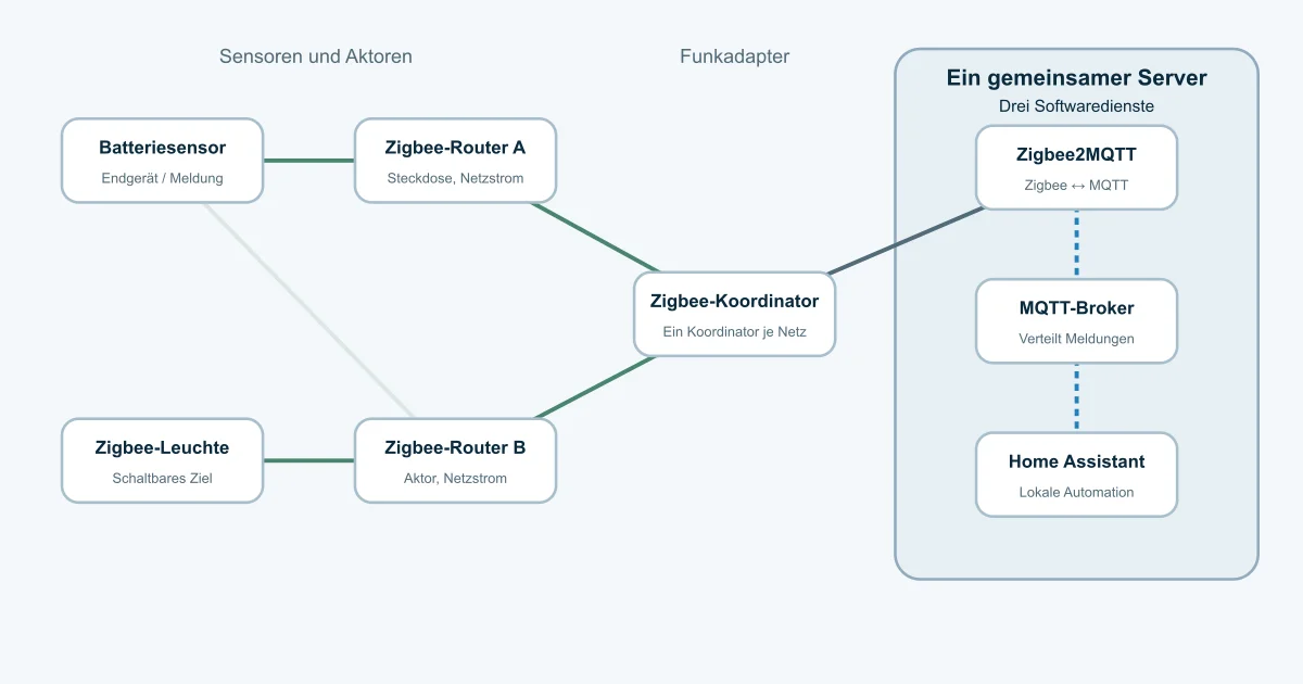 Zigbee-Netzwerk mit Geräten und Home Assistant auf einem gemeinsamen Server